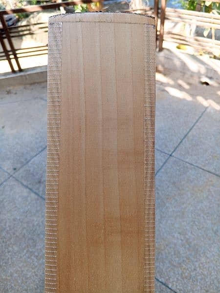 mids t20 export quality pure English willow hard ball cricket bat 2