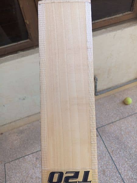 mids t20 export quality pure English willow hard ball cricket bat 4
