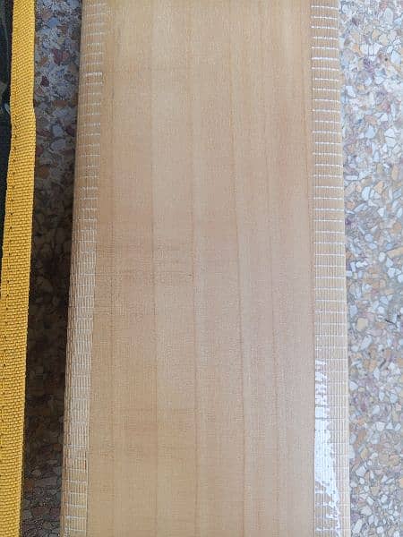 mids t20 export quality pure English willow hard ball cricket bat 8