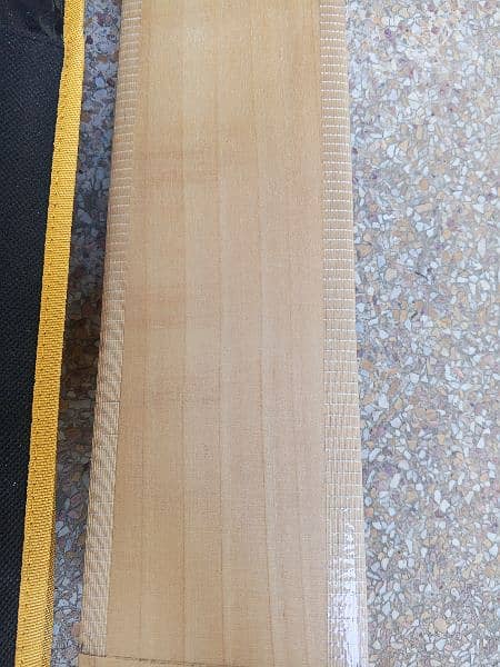mids t20 export quality pure English willow hard ball cricket bat 9