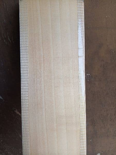 mids t20 export quality pure English willow hard ball cricket bat 19