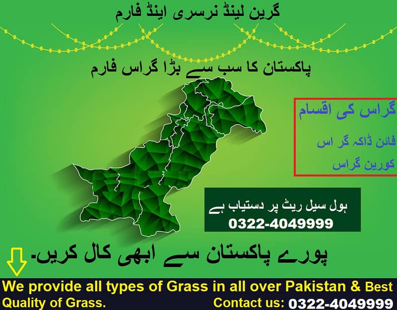 Natural Korean Grass and American Grass and Fine dhaka Gass 0