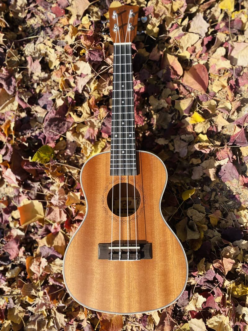 Yamaha Fender Taylor Acoustic Electric guitars violins ukuleles