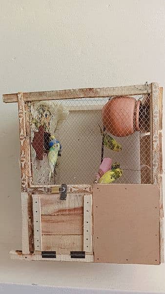 parrot cage 0