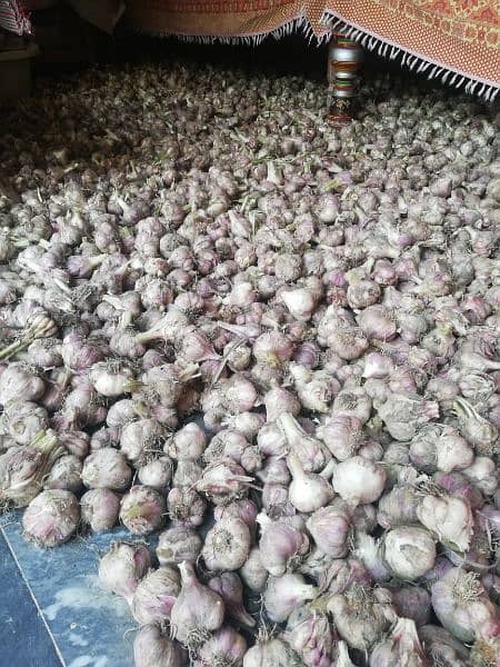 Pure Desi Lehsun Garlic For Sale 1