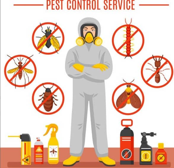 Termite & Pest Control 1