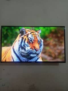 12 month used wifi tv