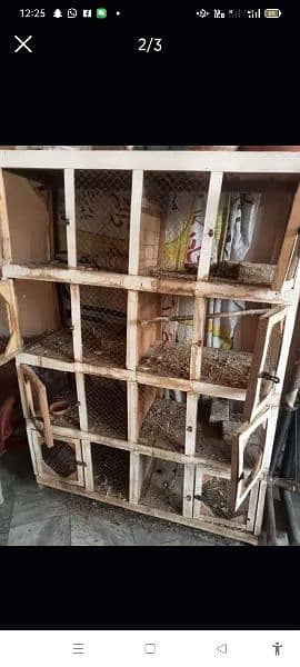 pigeon cage 1