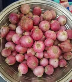 Sindhi fresh payaz (onion)