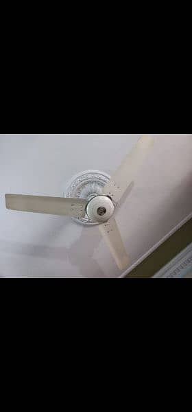 I WANT TO SELL 3 CELLING FAN 56" COPPER WINDING 1
