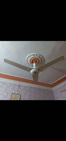 I WANT TO SELL 3 CELLING FAN 56" COPPER WINDING 2