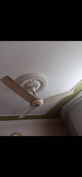 I WANT TO SELL 3 CELLING FAN 56" COPPER WINDING 3