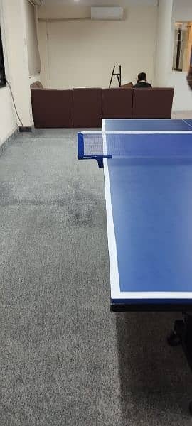 Table Tennis table 2