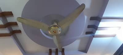 Ceiling Fan in Excellent Condition