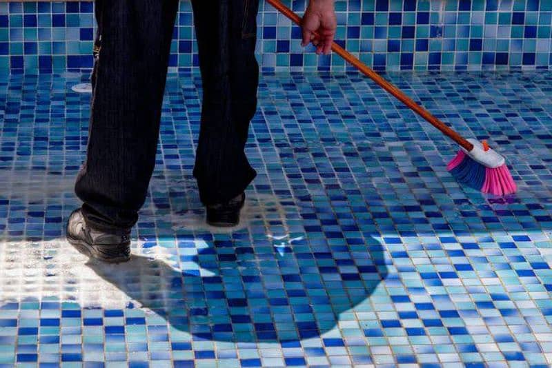 "SWIMMING POOL TILES CLEANER CHEMICAL IN PAKISTAN" 6