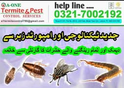 Pest control service spray fumigation Termite/deemak control treatment