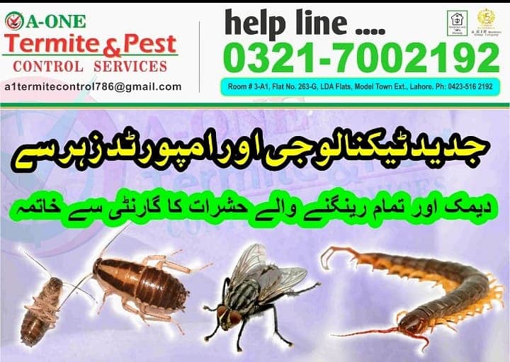 Pest control service spray fumigation Termite/deemak control treatment 0