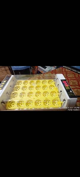 imported incubator hhd branded 24 eggs automatic incubators 1