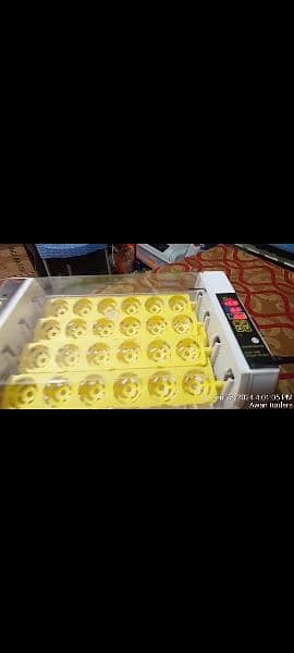 imported incubator hhd branded 24 eggs automatic incubators 2