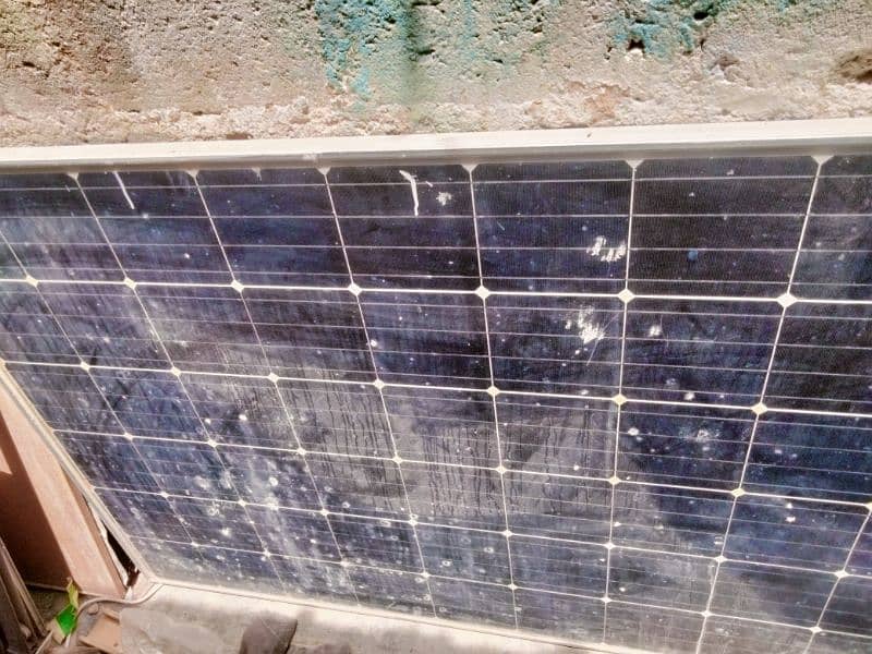 Jinko solar for sell 1