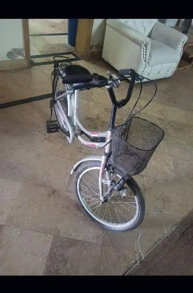 Imported bicycle 3