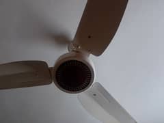 GFC ceiling fans in ok condition 0
