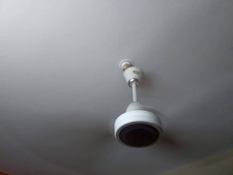 GFC ceiling fans in ok condition 1