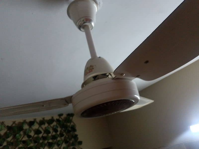 GFC ceiling fans in ok condition 2