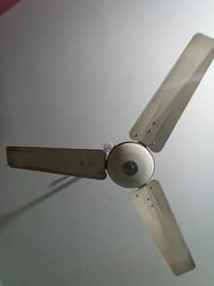 Pak fan used