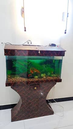 3 feet Aquarium with fish 0