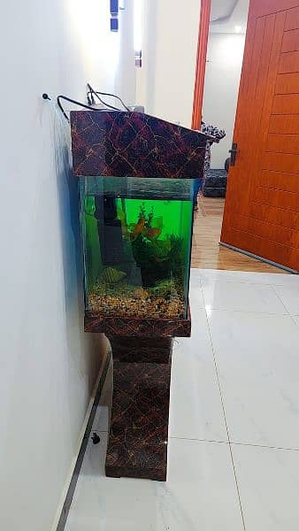 3 feet Aquarium with fish 1