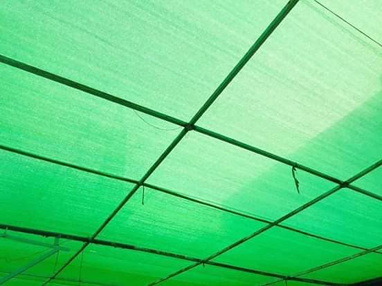 green net jali | green tarpal 90% shadow. . . 1