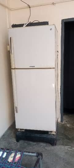 pel xl size refrigerator