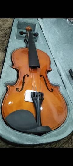 new violin