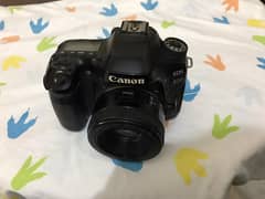 Canon 80D with Canon 50mm Lens