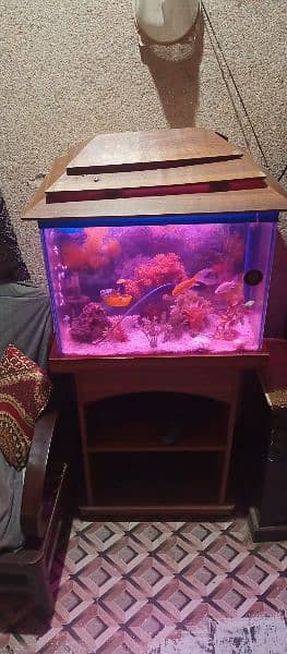 fish aquarium for sale 1