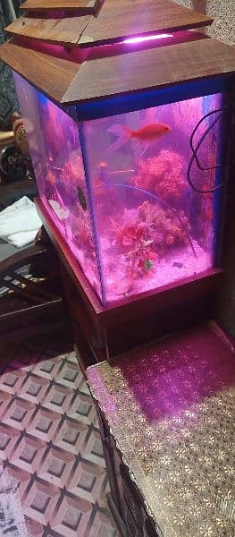 fish aquarium for sale 3
