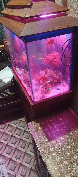 fish aquarium for sale 5