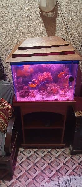 fish aquarium for sale 7