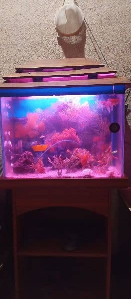 fish aquarium for sale 8