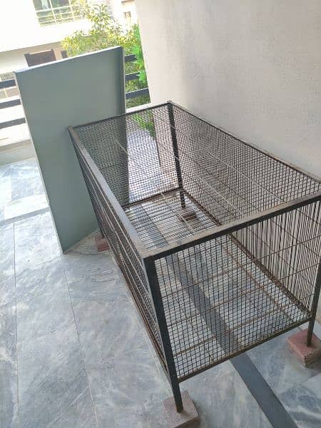 2 cages for any birds 4