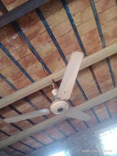 Amin walo ka ceiling fan he copper me ac 220