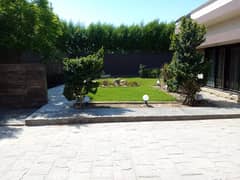 Defence 700 Yards Bungalow For Rent 0