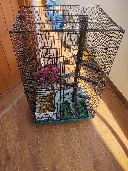 parrot cage 2