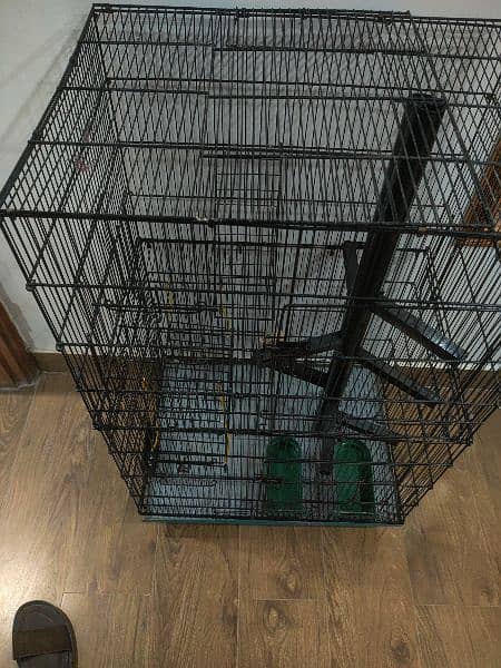 parrot cage 4