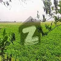 125 Acre Fully Agriculture Land For Sale 1