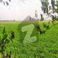 25 Acre Fully Agriculture Land For Sale Near Khurianwala Faisalabad 0