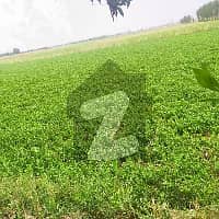 25 Acre Fully Agriculture Land For Sale Near Khurianwala Faisalabad 2