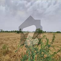 25 Acre Fully Agriculture Land For Sale Near Khurianwala Faisalabad 3