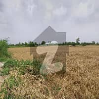 25 Acre Fully Agriculture Land For Sale Near Khurianwala Faisalabad 6